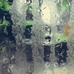 Image of humidity on a window.