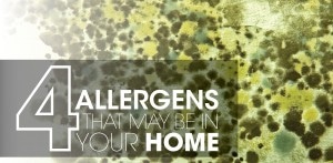 Indoor Air Quality Allergens